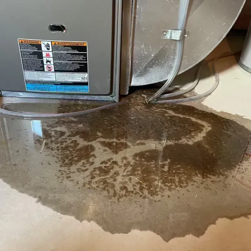 Appliance Leak Cleanup in Prestbury, IL